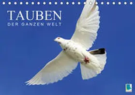Calvendo / CALVENDO |  Tauben der ganzen Welt (Tischkalender 2020 DIN A5 quer) | Sonstiges |  Sack Fachmedien