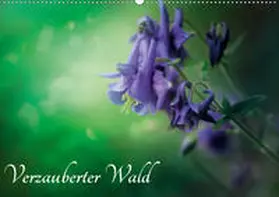 Wunderlich |  Verzauberter Wald (Wandkalender 2020 DIN A2 quer) | Sonstiges |  Sack Fachmedien