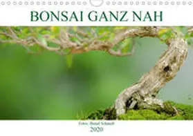 Schmidt |  Bonsai ganz nah (Wandkalender 2020 DIN A4 quer) | Sonstiges |  Sack Fachmedien