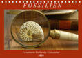 Frost |  Fossilien - Versteinerte Relikte der Erdzeitalter (Tischkalender 2020 DIN A5 quer) | Sonstiges |  Sack Fachmedien
