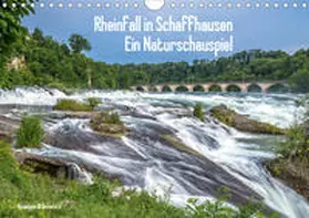 Di Domenico |  Rheinfall in Schaffhausen - Ein Naturschauspiel (Wandkalender 2020 DIN A4 quer) | Sonstiges |  Sack Fachmedien