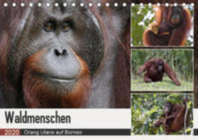 Herzog | Waldmenschen - Orang Utans auf Borneo (Tischkalender 2020 DIN A5 quer) | Sonstiges | 978-3-671-00223-8 | sack.de