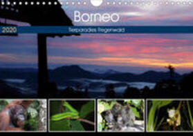Herzog | Borneo - Tierparadies Regenwald (Wandkalender 2020 DIN A4 quer) | Sonstiges | 978-3-671-00356-3 | sack.de