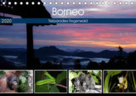 Herzog | Borneo - Tierparadies Regenwald (Tischkalender 2020 DIN A5 quer) | Sonstiges | 978-3-671-00359-4 | sack.de