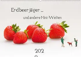 Bogumil |  Erdbeerjäger ... und andere Mini-Welten (Wandkalender 2020 DIN A2 quer) | Sonstiges |  Sack Fachmedien