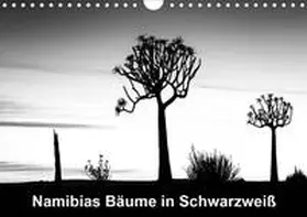 Berger | Namibias Bäume in Schwarzweiß (Wandkalender 2020 DIN A4 quer) | Sonstiges | 978-3-671-00415-7 | sack.de