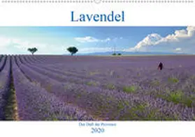 Werner |  Lavendel. Der Duft der Provence (Wandkalender 2020 DIN A2 quer) | Sonstiges |  Sack Fachmedien