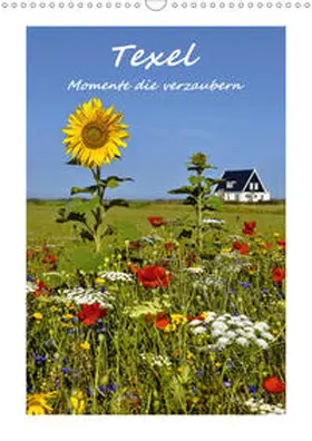 Hackstein |  Texel - Momente die verzaubern (Wandkalender 2020 DIN A3 hoch) | Sonstiges |  Sack Fachmedien