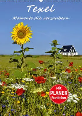 Hackstein |  Texel - Momente die verzaubern (Wandkalender 2020 DIN A2 hoch) | Sonstiges |  Sack Fachmedien