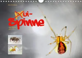 Schmidbauer |  ui - Spinne. Kleine Spinnen - groß im Bild (Wandkalender 2020 DIN A4 quer) | Sonstiges |  Sack Fachmedien
