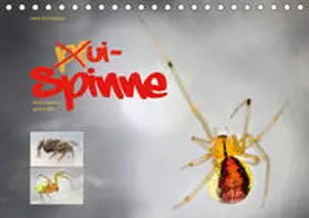 Schmidbauer |  ui - Spinne. Kleine Spinnen - groß im Bild (Tischkalender 2020 DIN A5 quer) | Sonstiges |  Sack Fachmedien