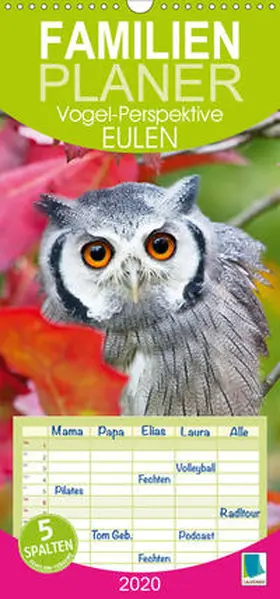 Calvendo / CALVENDO |  Eulen: Vogel-Perspektive (Wandkalender 2020 , 21 cm x 45 cm, hoch) | Sonstiges |  Sack Fachmedien