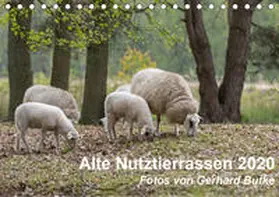 Butke |  Alte Nutztierrassen 2020 (Tischkalender 2020 DIN A5 quer) | Sonstiges |  Sack Fachmedien
