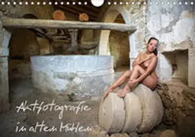Geiser |  Aktfotografie in alten Mühlen (Wandkalender 2020 DIN A4 quer) | Sonstiges |  Sack Fachmedien