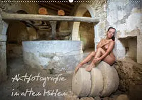Geiser |  Aktfotografie in alten Mühlen (Wandkalender 2020 DIN A2 quer) | Sonstiges |  Sack Fachmedien