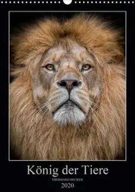 Becker |  König der Tiere (Wandkalender 2020 DIN A3 hoch) | Sonstiges |  Sack Fachmedien