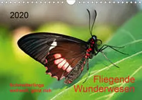 Zeidler |  Fliegende Wunderwesen. Schmetterlinge weltweit, ganz nah (Wandkalender 2020 DIN A4 quer) | Sonstiges |  Sack Fachmedien