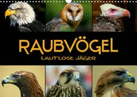 Bleicher |  Raubvögel - lautlose Jäger (Wandkalender 2020 DIN A3 quer) | Sonstiges |  Sack Fachmedien