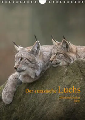 Becker |  Der eurasische Luchs (Wandkalender 2020 DIN A4 hoch) | Sonstiges |  Sack Fachmedien