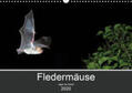 Schäfer |  Fledermäuse - Jäger der Nacht (Wandkalender 2020 DIN A3 quer) | Sonstiges |  Sack Fachmedien