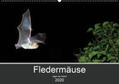Schäfer |  Fledermäuse - Jäger der Nacht (Wandkalender 2020 DIN A2 quer) | Sonstiges |  Sack Fachmedien