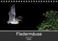 Schäfer |  Fledermäuse - Jäger der Nacht (Tischkalender 2020 DIN A5 quer) | Sonstiges |  Sack Fachmedien