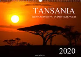 Köhler |  Tansania - Tierwanderung in der Serengeti (Wandkalender 2020 DIN A3 quer) | Sonstiges |  Sack Fachmedien