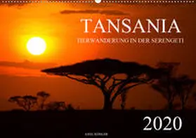 Köhler |  Tansania - Tierwanderung in der Serengeti (Wandkalender 2020 DIN A2 quer) | Sonstiges |  Sack Fachmedien