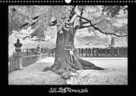 Zimmermann | SILBERrausch (Wandkalender 2020 DIN A3 quer) | Sonstiges | 978-3-671-02857-3 | www.sack.de