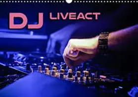 Bleicher |  DJ Liveact (Wandkalender 2020 DIN A3 quer) | Sonstiges |  Sack Fachmedien