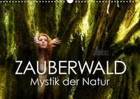 Allgaier (Ullision) |  ZAUBERWALD Mystik der Natur (Wandkalender 2020 DIN A3 quer) | Sonstiges |  Sack Fachmedien