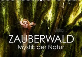 Allgaier (Ullision) |  ZAUBERWALD Mystik der Natur (Wandkalender 2020 DIN A2 quer) | Sonstiges |  Sack Fachmedien