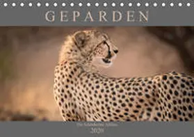 Pavlowsky |  Geparden - Die Schönheiten Afrikas (Tischkalender 2020 DIN A5 quer) | Sonstiges |  Sack Fachmedien