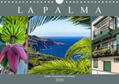 Meyer |  La Palma - Grüne Trauminsel im Atlantik (Wandkalender 2020 DIN A4 quer) | Sonstiges |  Sack Fachmedien