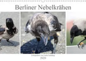 Schilling |  Berliner Nebelkrähen (Wandkalender 2020 DIN A3 quer) | Sonstiges |  Sack Fachmedien
