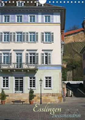 Weber |  Esslingen zwischendrin (Wandkalender 2020 DIN A4 hoch) | Sonstiges |  Sack Fachmedien
