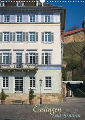 Weber | Esslingen zwischendrin (Wandkalender 2020 DIN A3 hoch) | Sonstiges | 978-3-671-04121-3 | www.sack.de