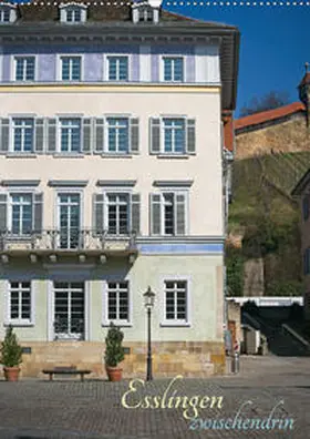 Weber |  Esslingen zwischendrin (Wandkalender 2020 DIN A2 hoch) | Sonstiges |  Sack Fachmedien