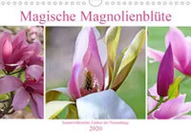 B-B Müller |  Magische Magnolienblüte (Wandkalender 2020 DIN A4 quer) | Sonstiges |  Sack Fachmedien