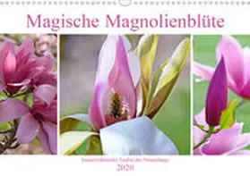 B-B Müller |  Magische Magnolienblüte (Wandkalender 2020 DIN A3 quer) | Sonstiges |  Sack Fachmedien