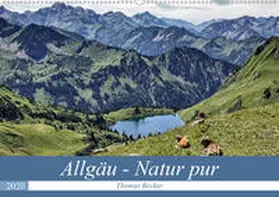 Becker | Allgäu - Natur pur (Wandkalender 2020 DIN A2 quer) | Sonstiges | 978-3-671-04583-9 | www.sack.de