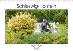 Busch |  Schleswig-Holstein Moin Moin (Wandkalender 2020 DIN A3 quer) | Sonstiges |  Sack Fachmedien
