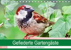 Löwer |  Gefiederte Gartengäste - Spatzenleben (Tischkalender 2020 DIN A5 quer) | Sonstiges |  Sack Fachmedien