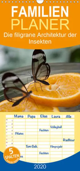 Docskh |  Die filigrane Architektur der Insekten - Familienplaner hoch (Wandkalender 2020 , 21 cm x 45 cm, hoch) | Sonstiges |  Sack Fachmedien