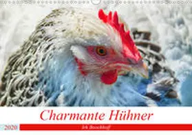 Boockhoff |  Charmante Hühner (Wandkalender 2020 DIN A3 quer) | Sonstiges |  Sack Fachmedien
