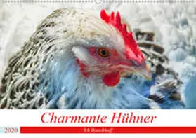 Boockhoff |  Charmante Hühner (Wandkalender 2020 DIN A2 quer) | Sonstiges |  Sack Fachmedien