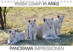 Fraatz |  Weiße Löwen in Afrika PANORAMA IMPRESSIONEN (Tischkalender 2020 DIN A5 quer) | Sonstiges |  Sack Fachmedien