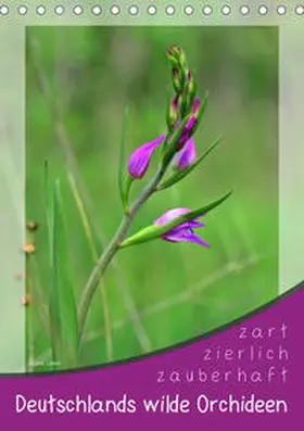 Löwer |  Deutschlands wilde Orchideen (Tischkalender 2020 DIN A5 hoch) | Sonstiges |  Sack Fachmedien