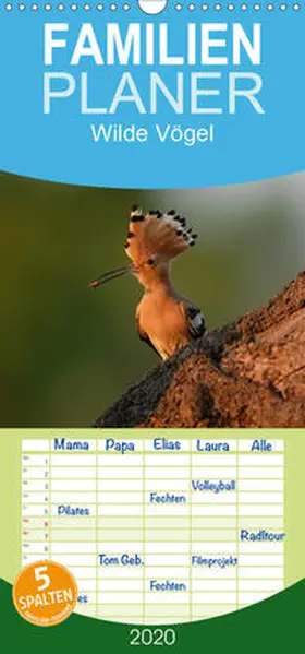 Hilger |  Wilde Vögel - Familienplaner hoch (Wandkalender 2020 , 21 cm x 45 cm, hoch) | Sonstiges |  Sack Fachmedien