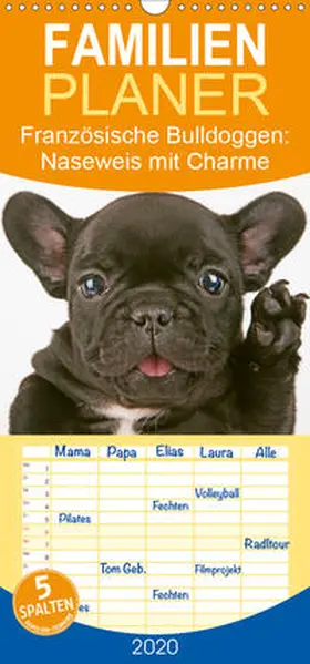 Calvendo / CALVENDO |  Französische Bulldoggen: Naseweis mit Charme - Familienplaner hoch (Wandkalender 2020 , 21 cm x 45 cm, hoch) | Sonstiges |  Sack Fachmedien
